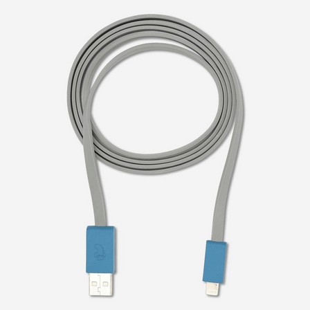 Grey iphones charging cable.