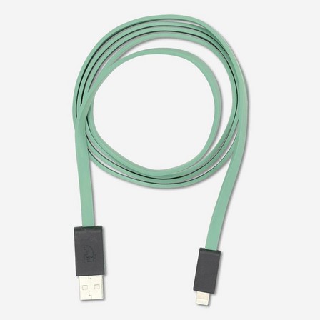 Green iphones charging cable.