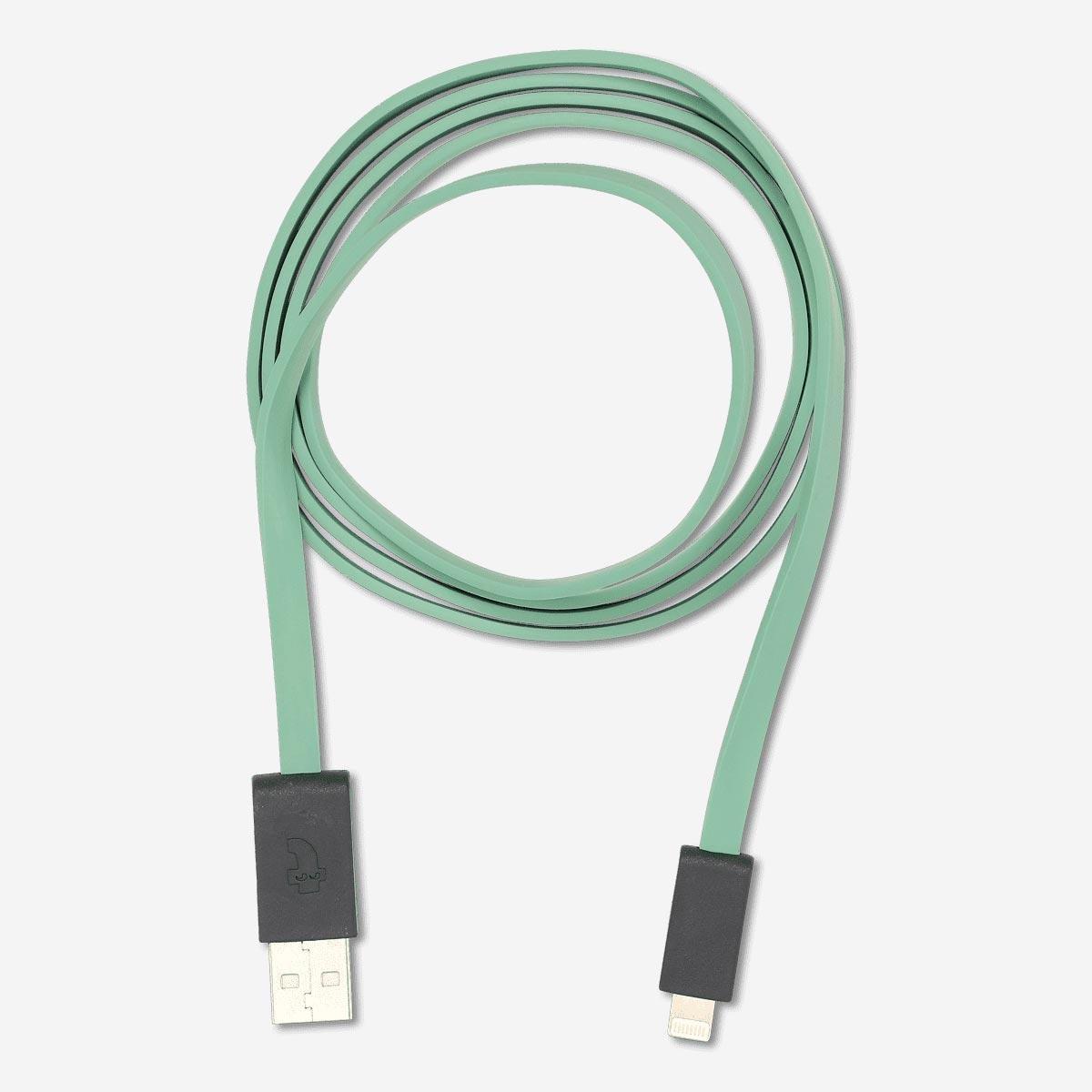 Green iphones charging cable.