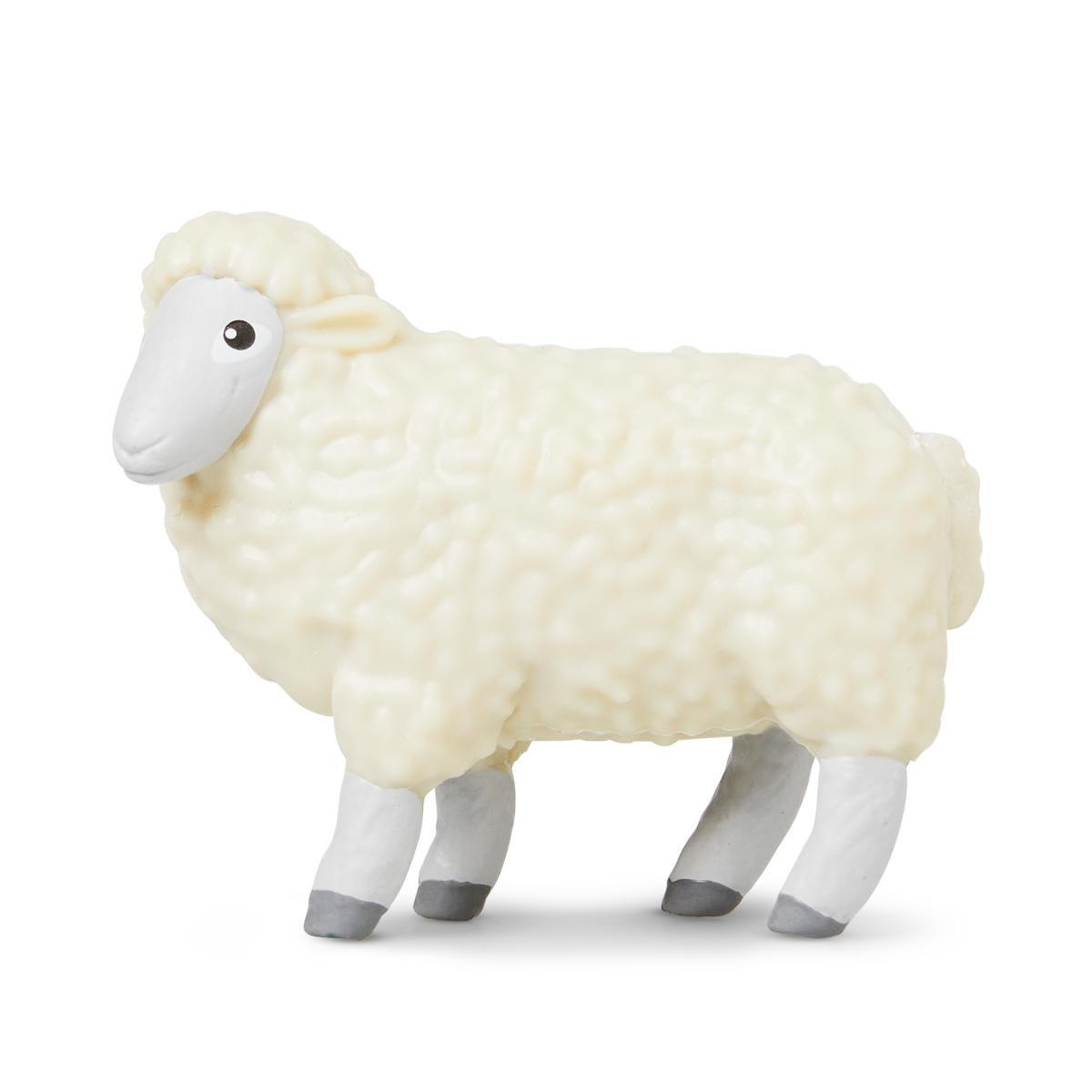 Farm sheep animals