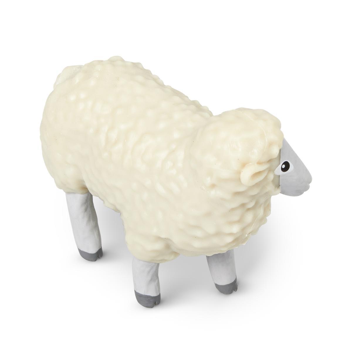 Farm sheep animals