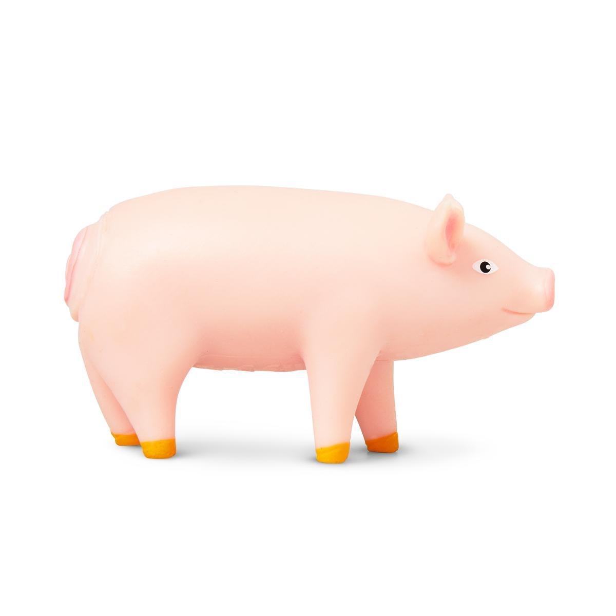 Farm pig animals