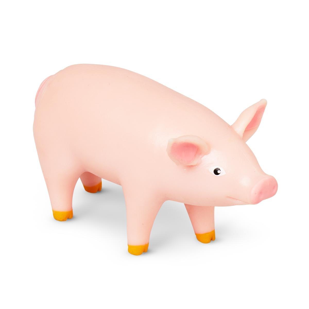 Farm pig animals