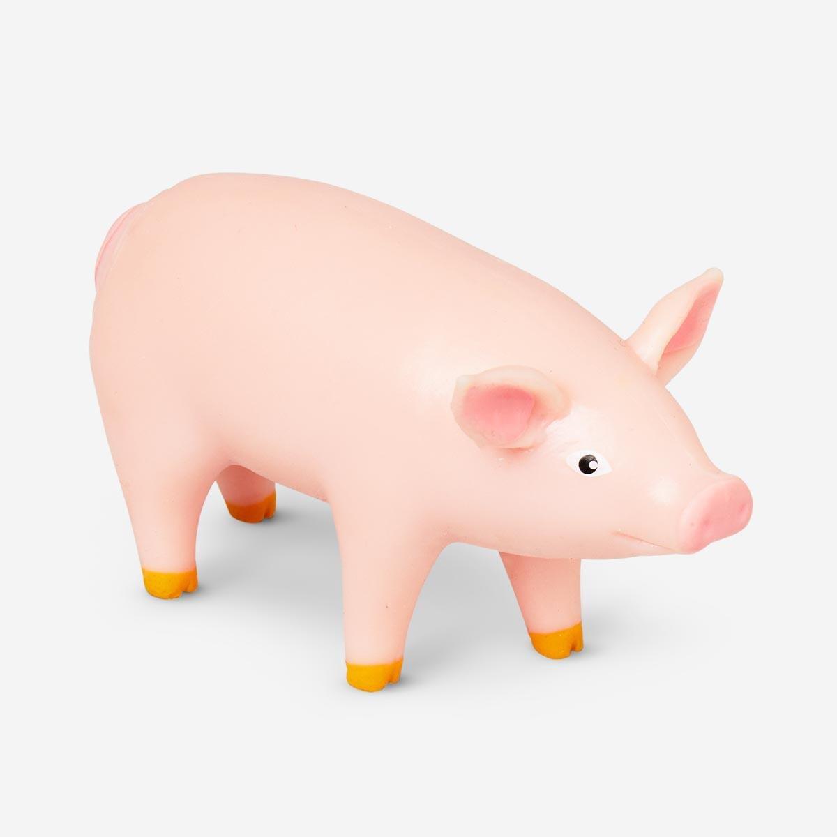 Farm pig animals