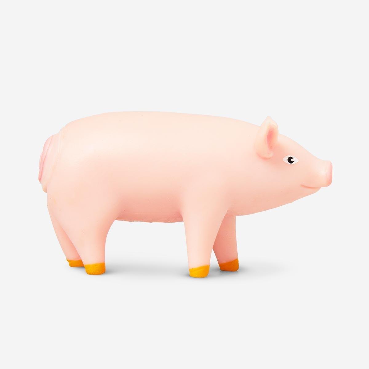 Farm pig animals