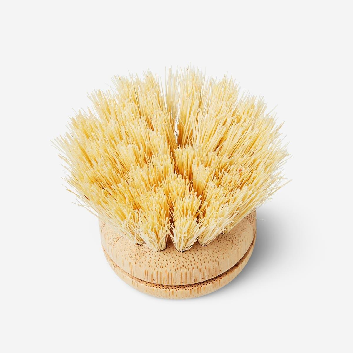 Replacement bamboo brush head