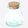 Glass jar. 380 ml
