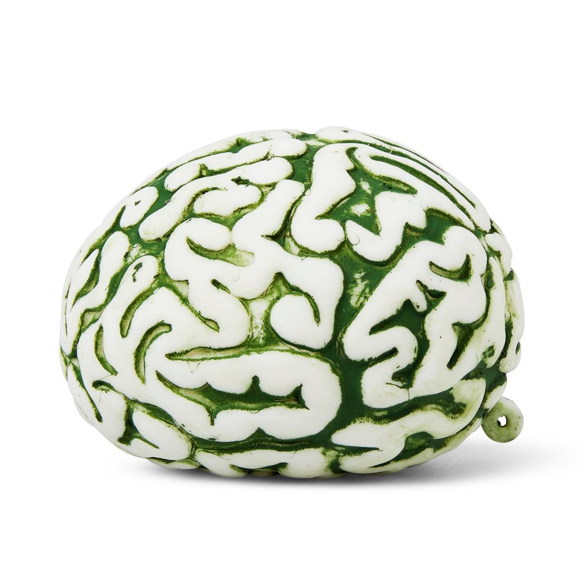 MULTI      Dinosaur brain