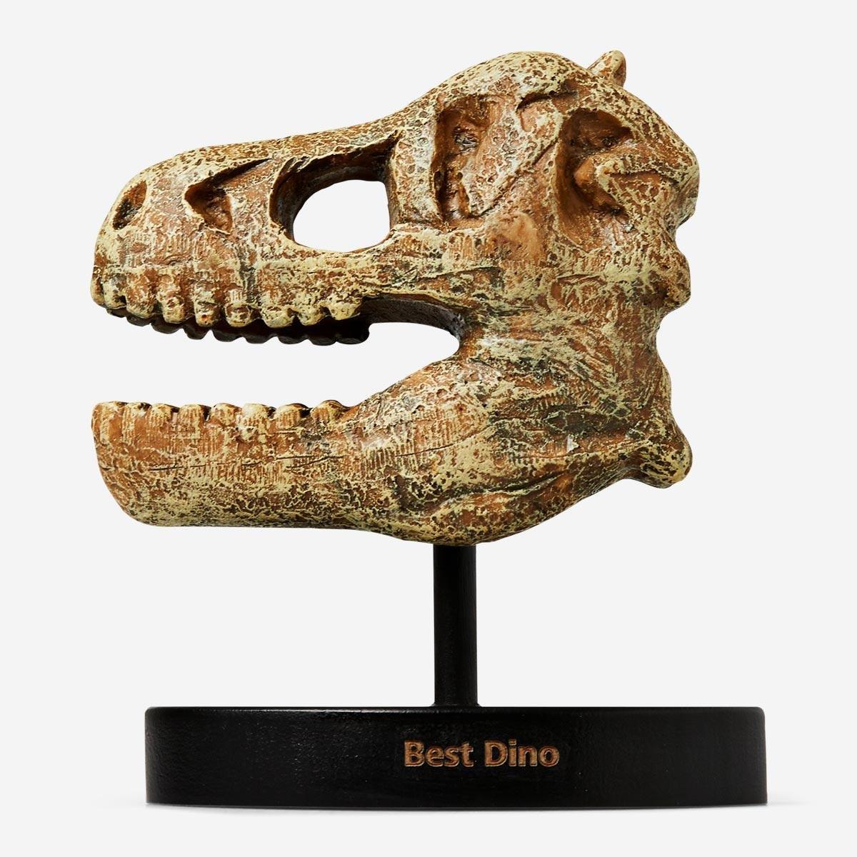 Dinosaur skull trophy