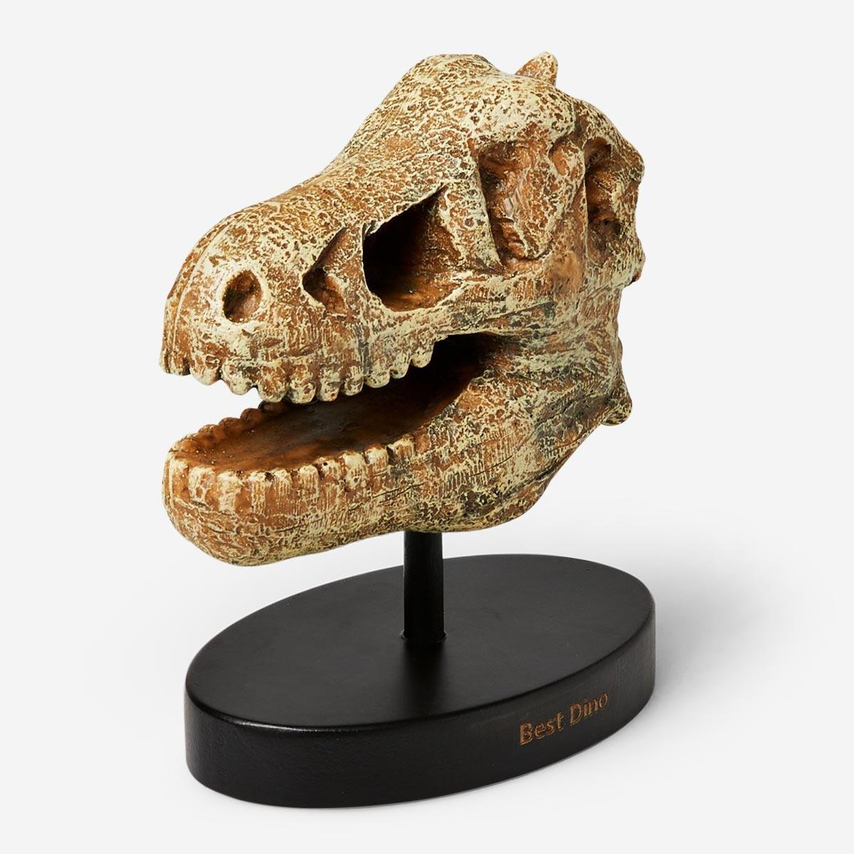 Dinosaur skull trophy