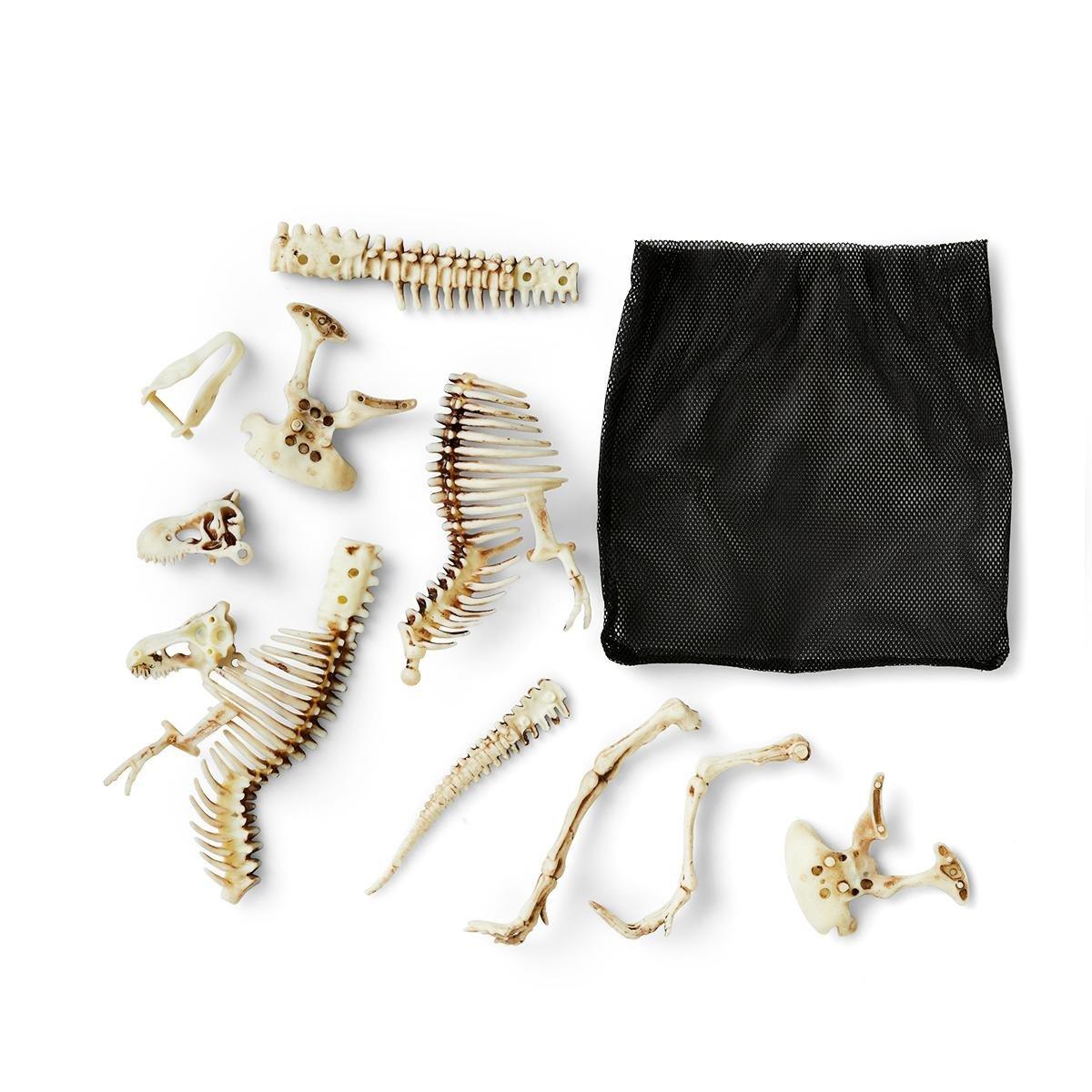 Dinosaur skeleton set