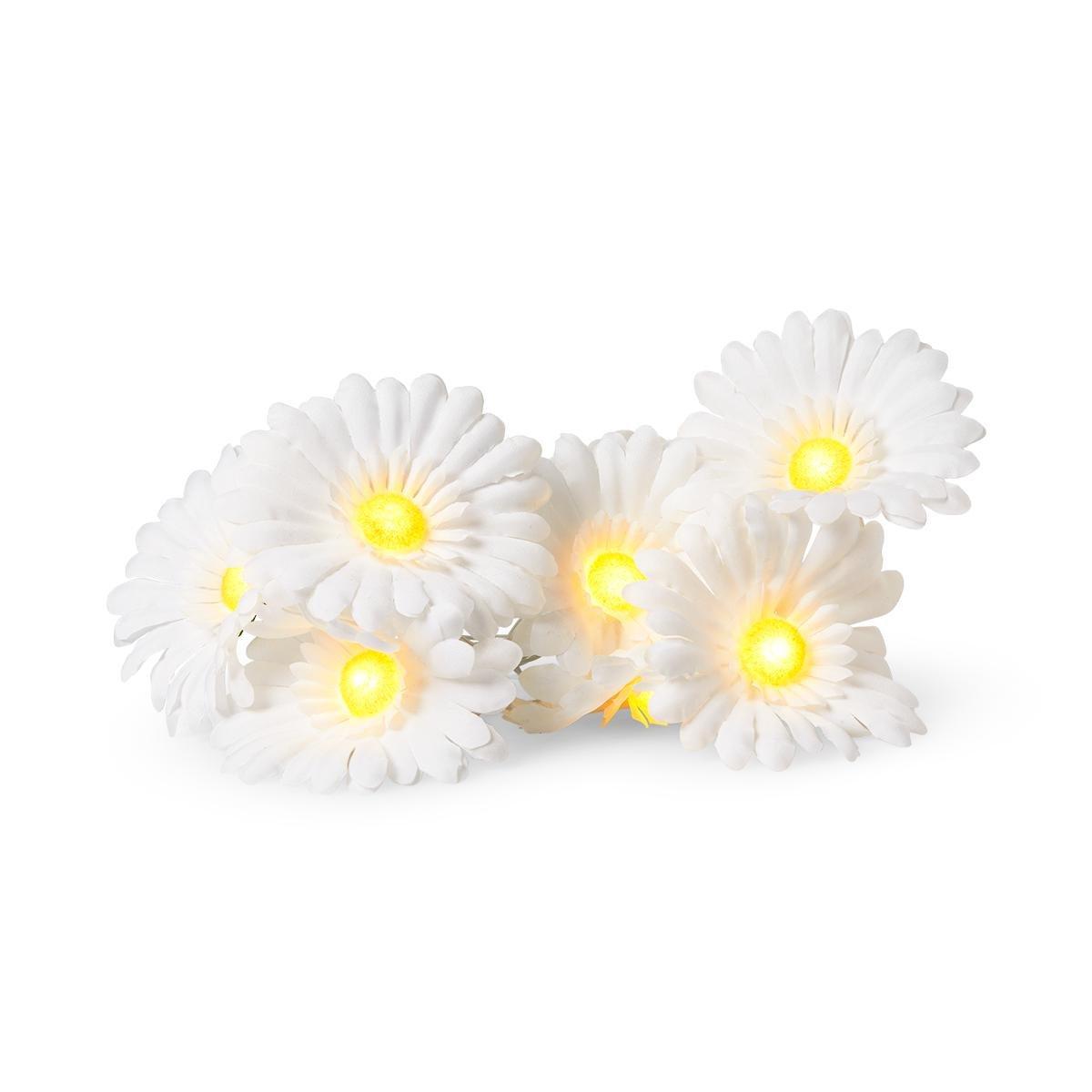 Yellow floral string lights