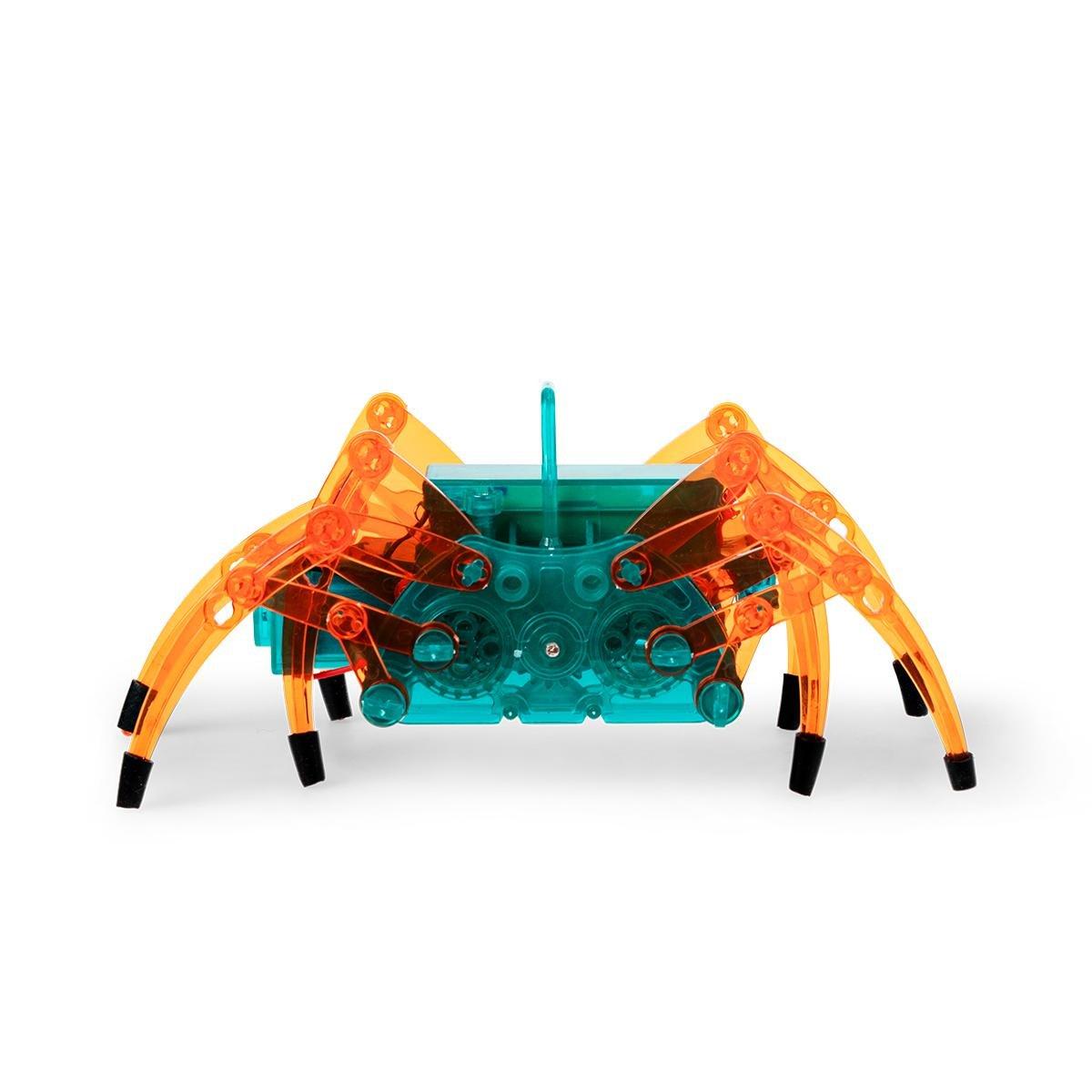 Build your own spider robot