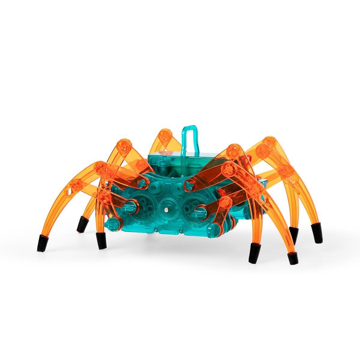 Build your own spider robot