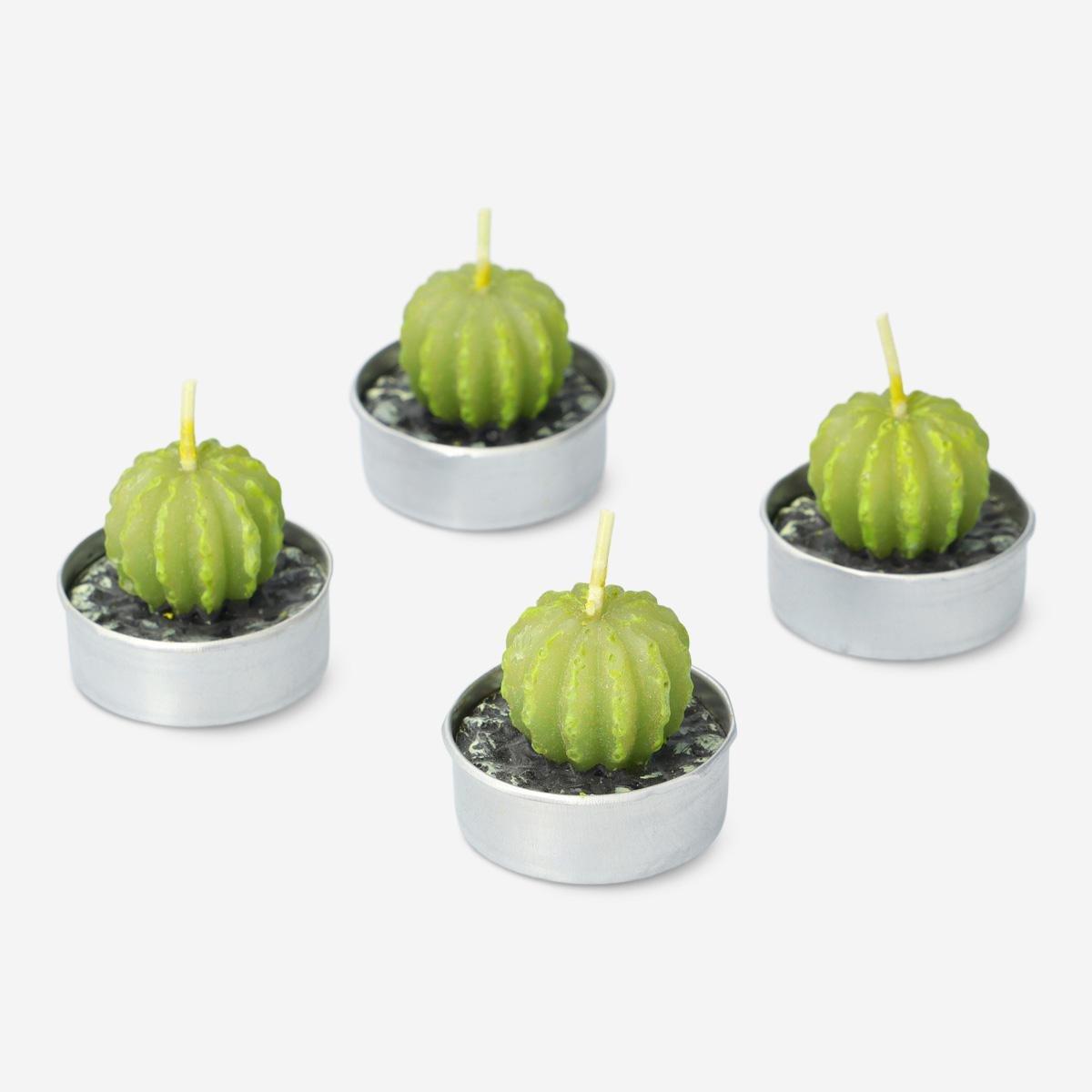 Green succulent candle