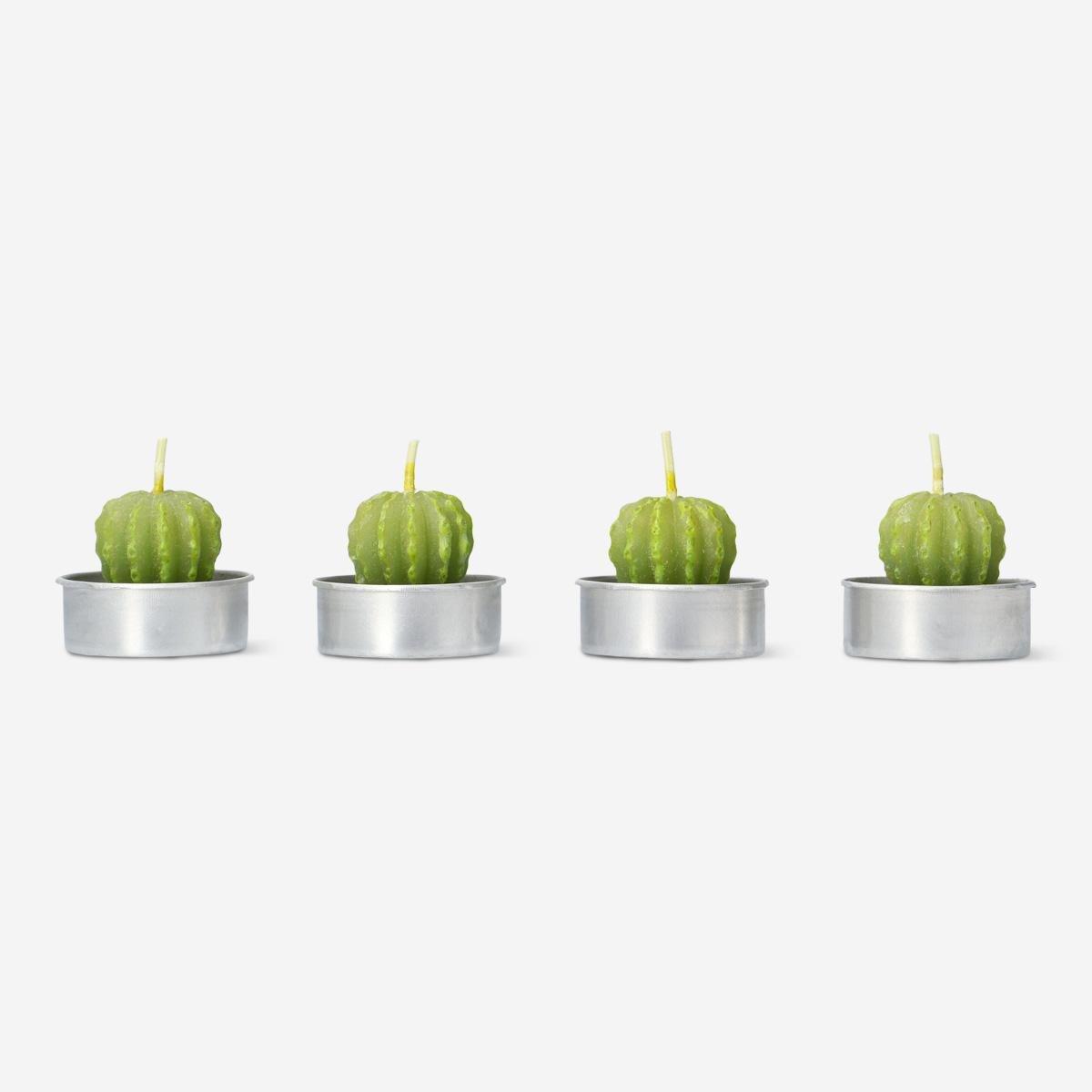 Green succulent candle