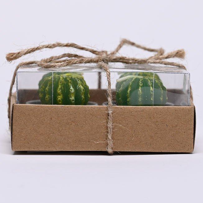 Green succulent candle