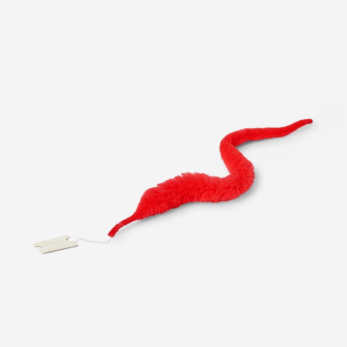 Red furry twisty worm