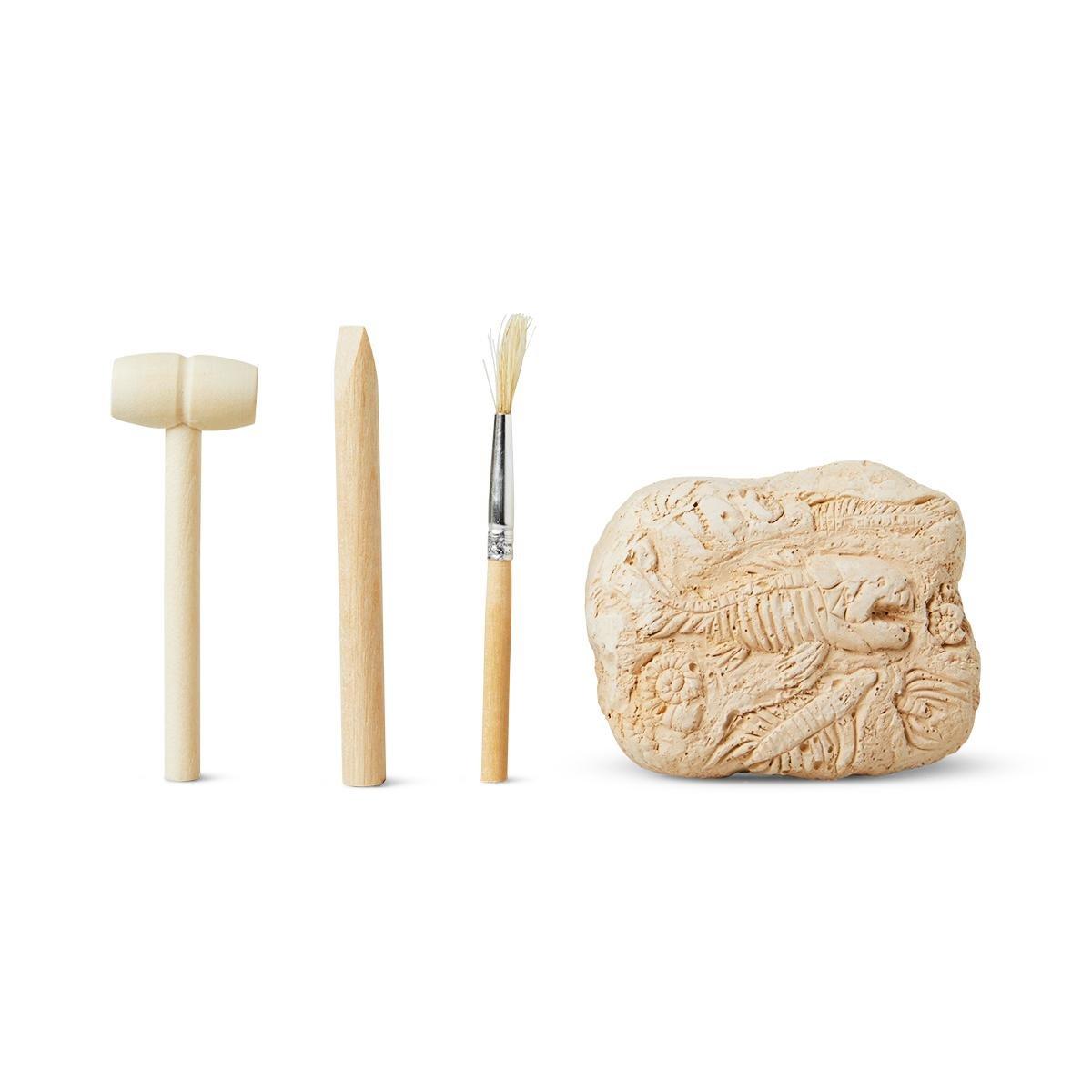 Plaster excavation kit