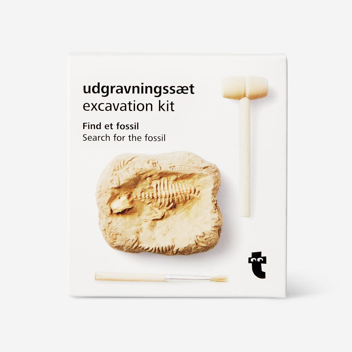 Plaster excavation kit