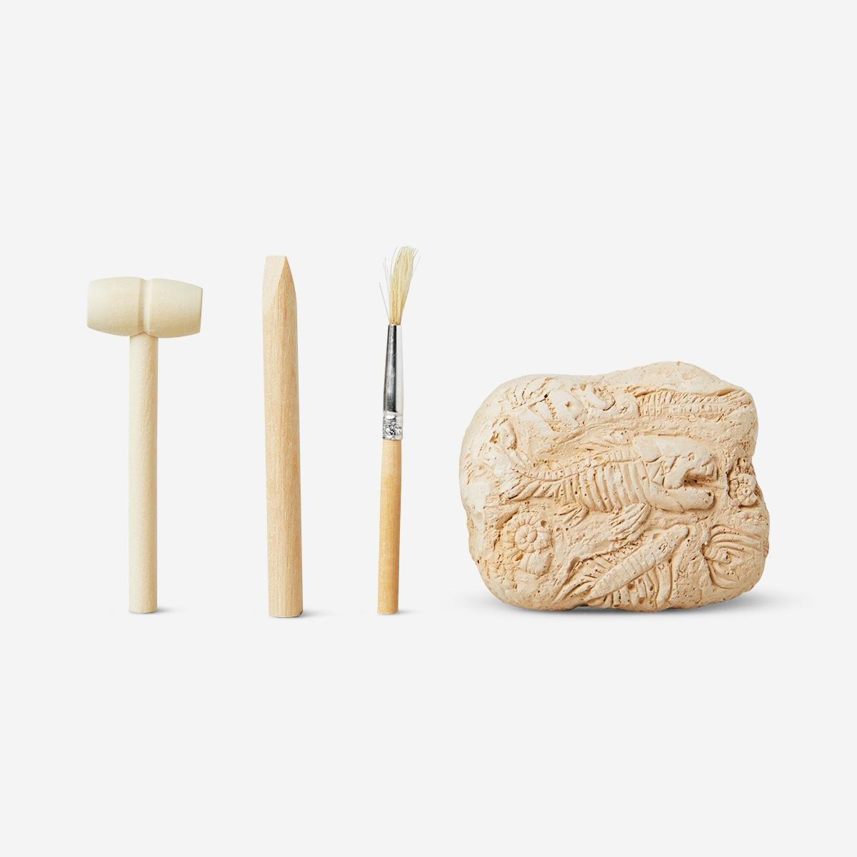 Plaster excavation kit