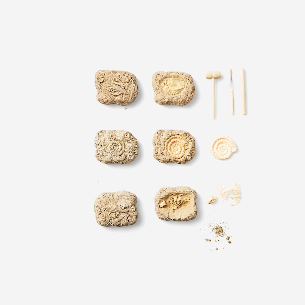 Beige Plaster Excavation Kit