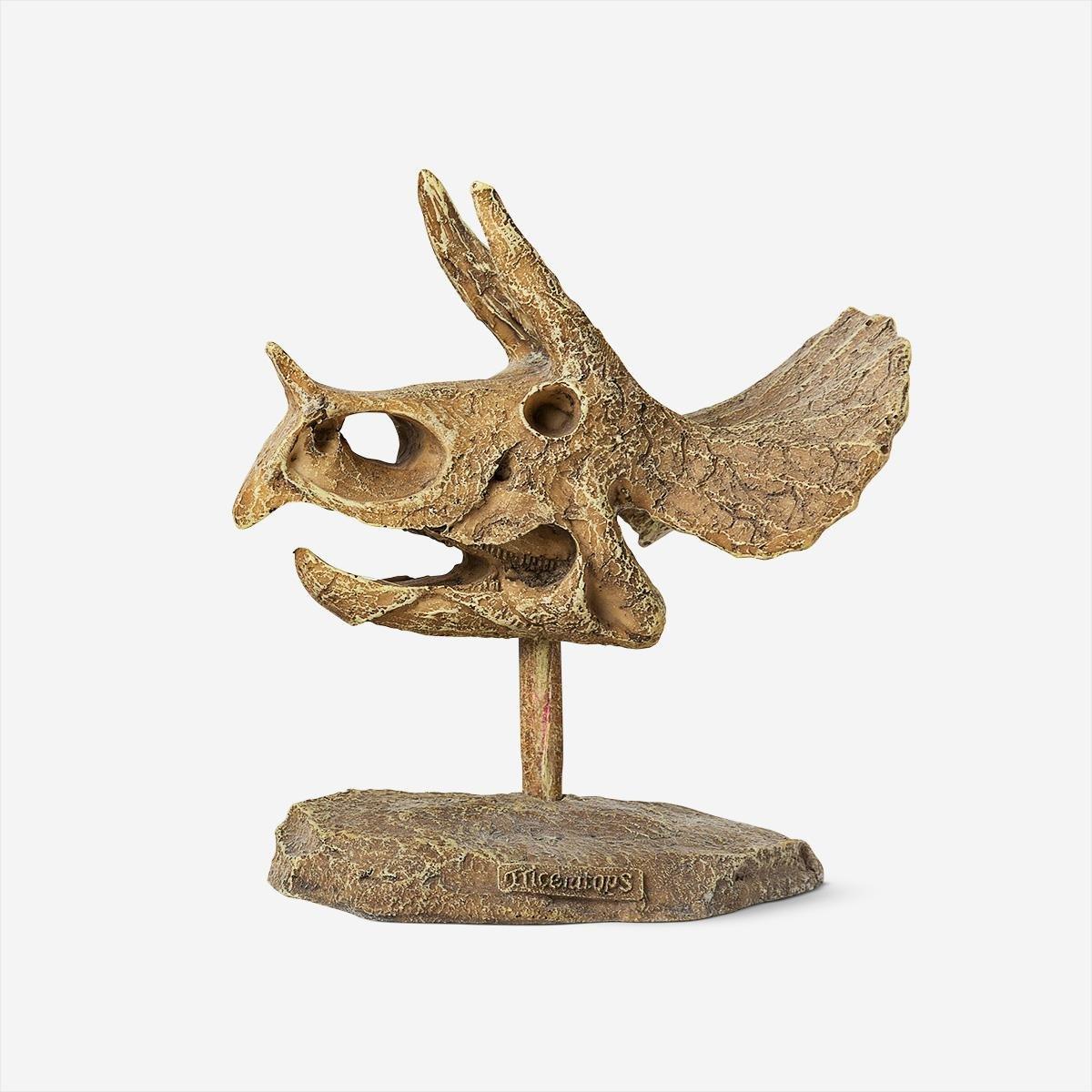 Plaster excavation kit (triceratops)