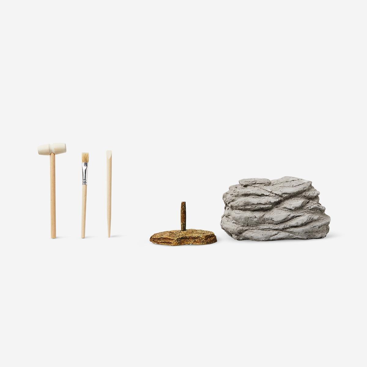 Plaster excavation kit (triceratops)