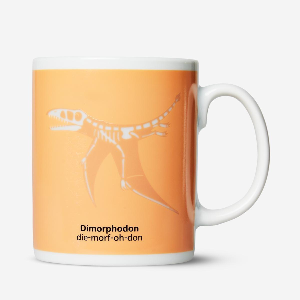 Dimorphodon magic mug