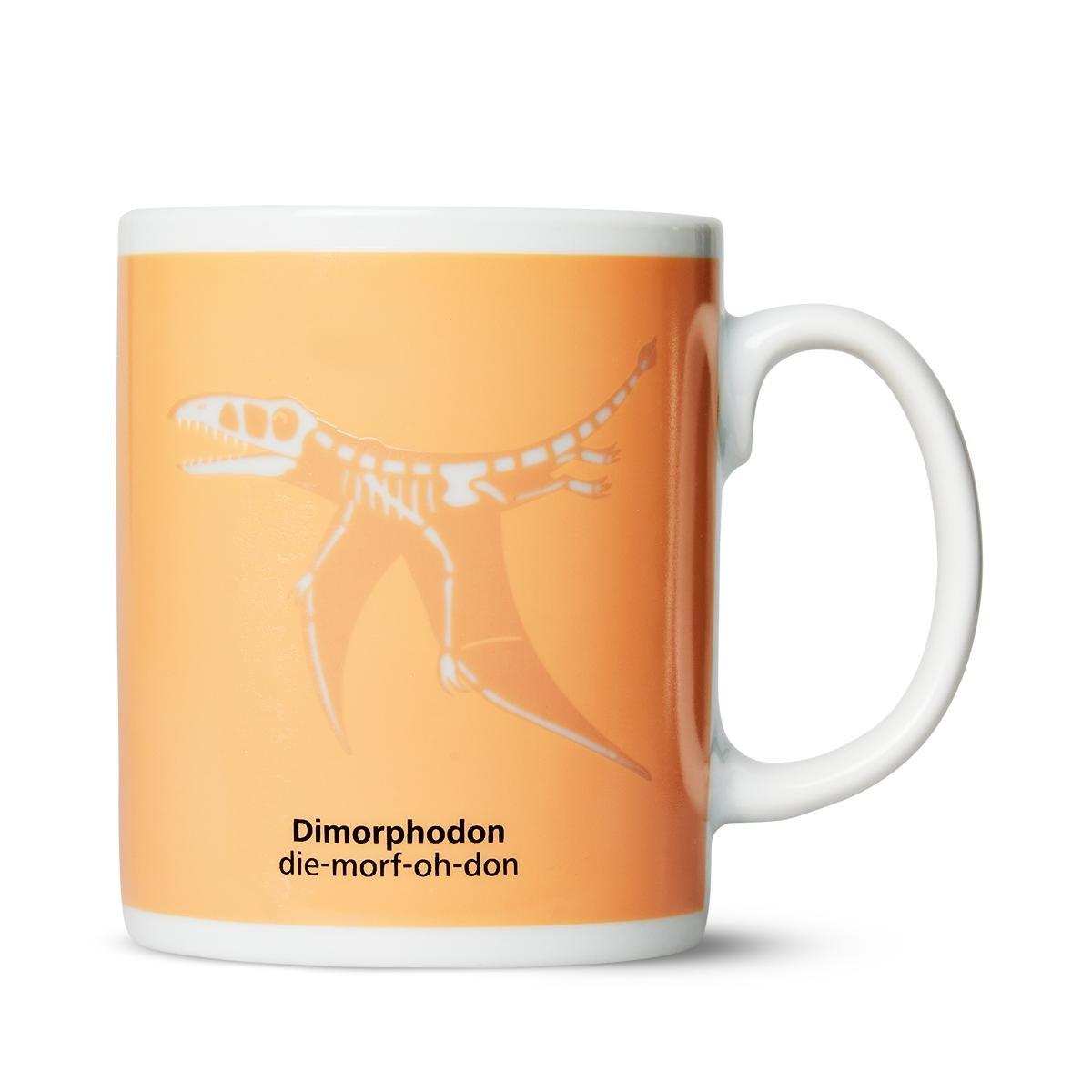 Dimorphodon magic mug