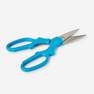 Blue kitchen scissors