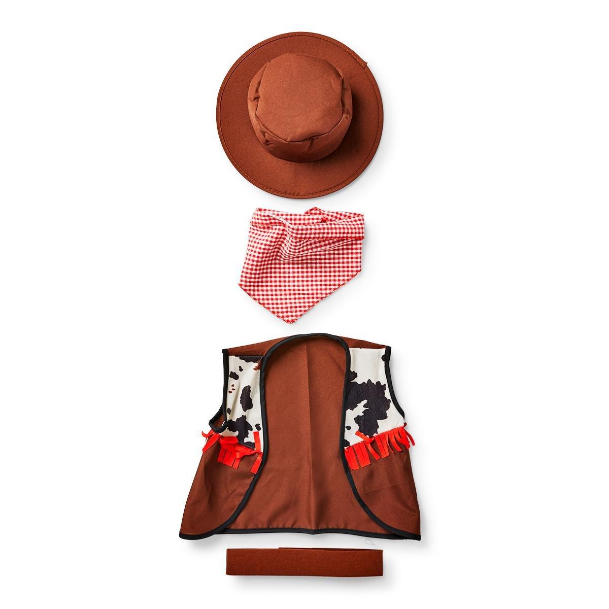 Cowboy costume