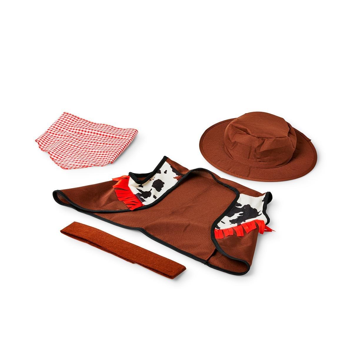 Cowboy costume