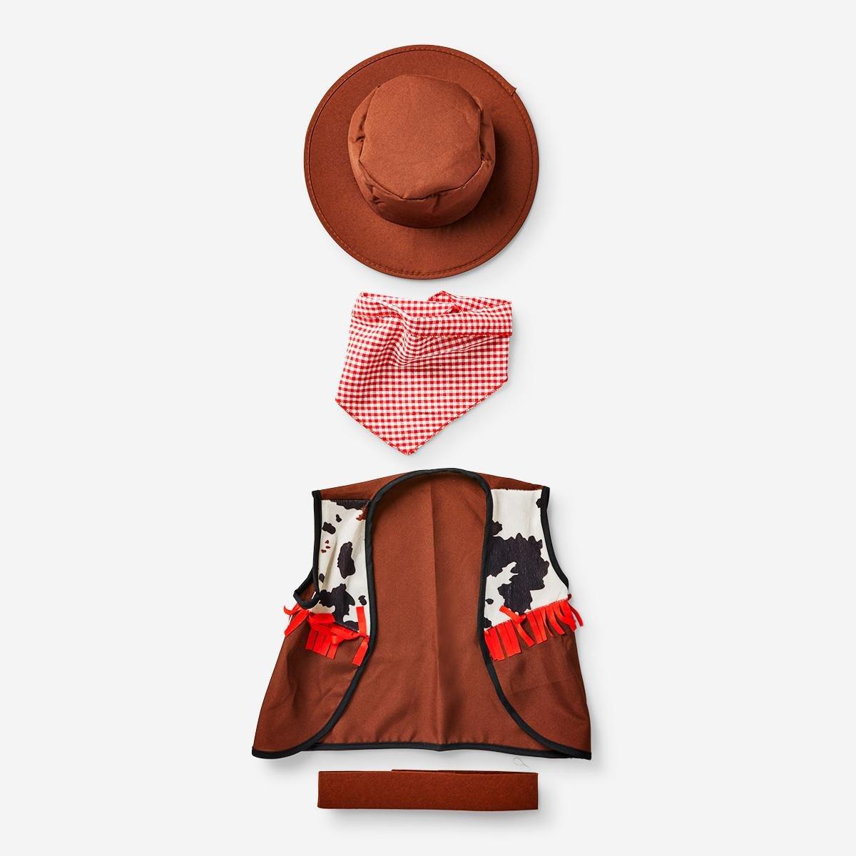 Cowboy costume