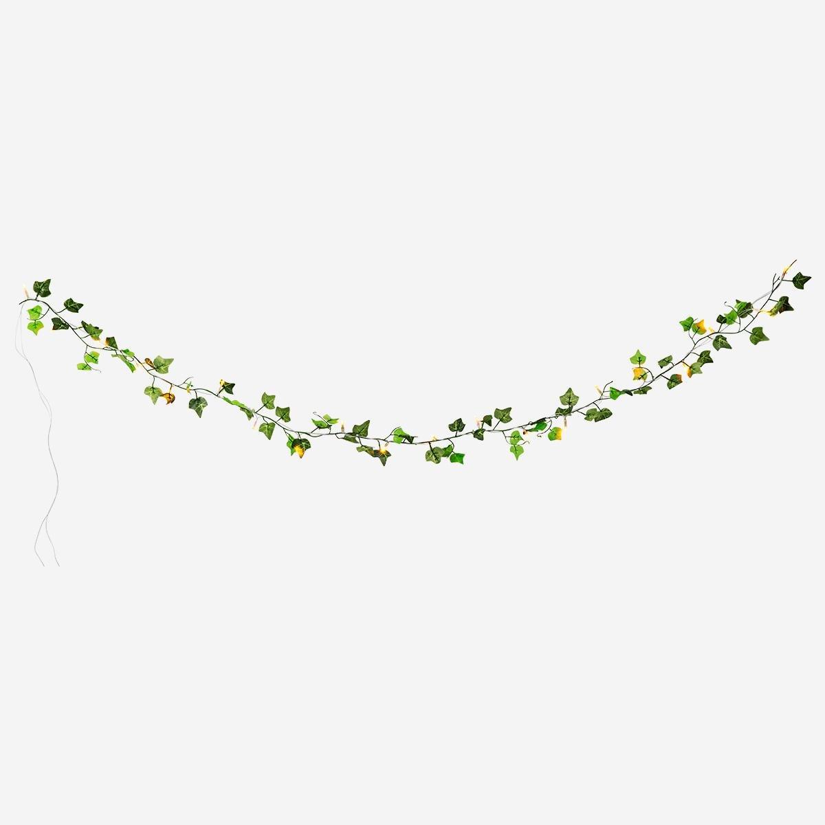 Green String lights. 340 cm