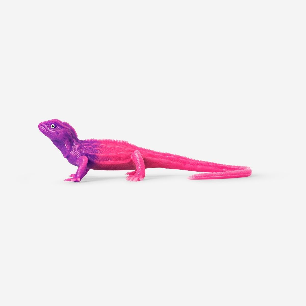 Pink Colour-changing lizard