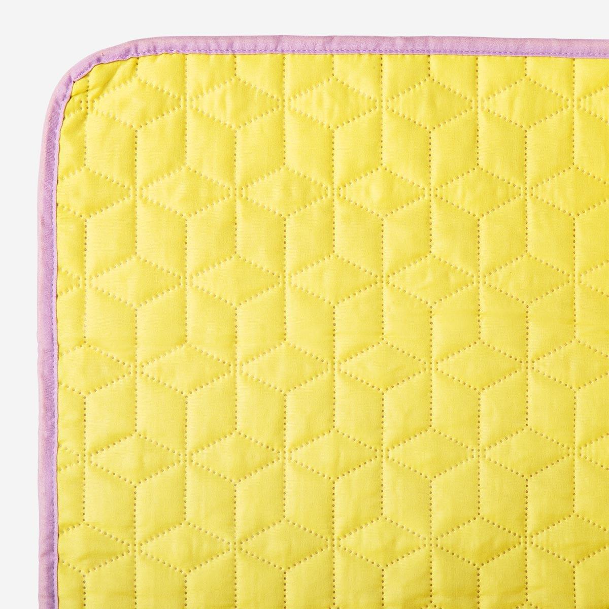 Pink picnic blanket