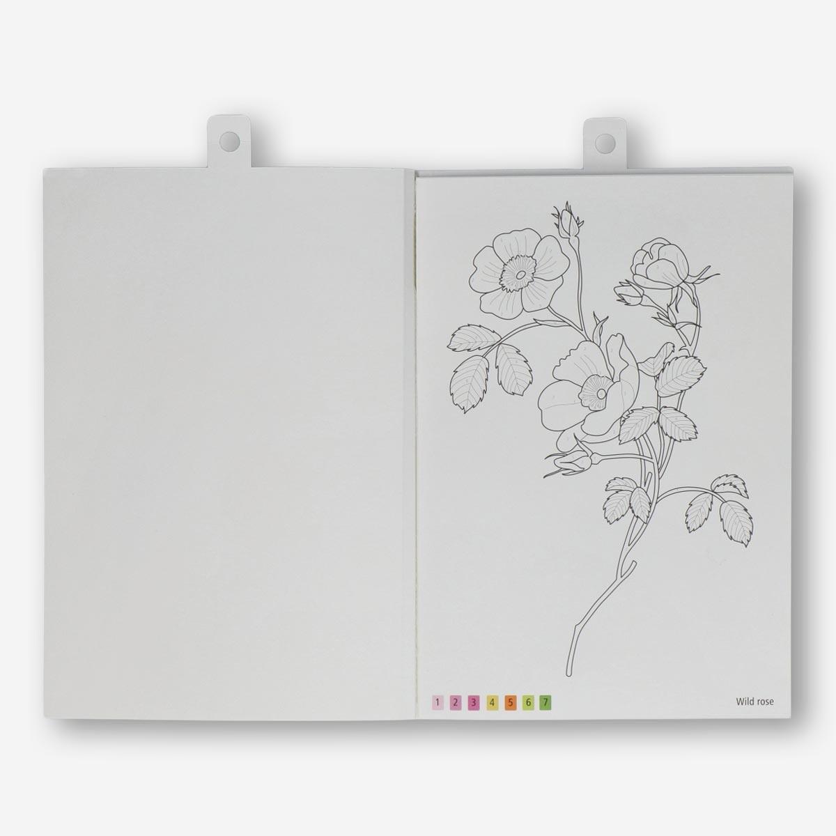 White watercolouring book