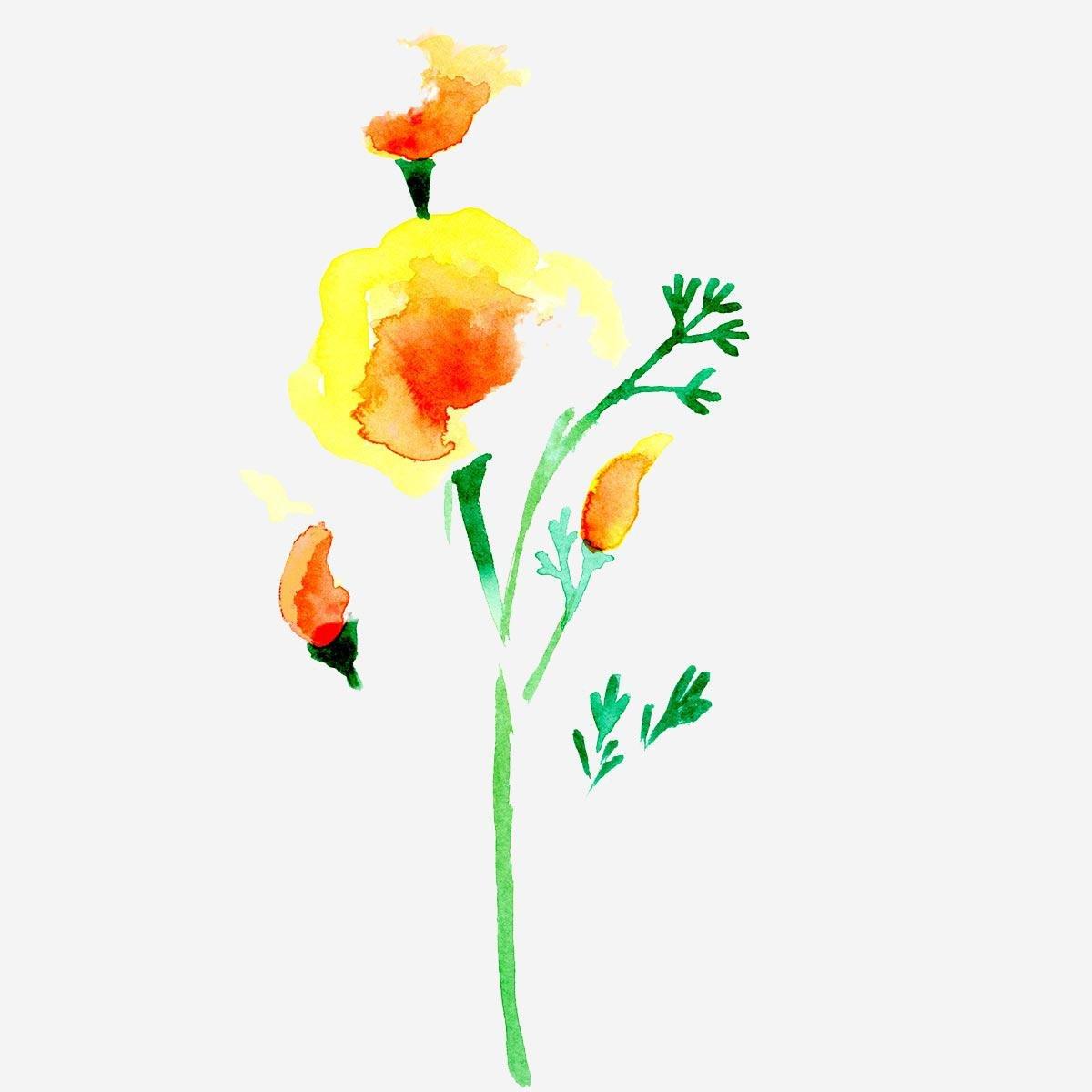 White watercolouring book
