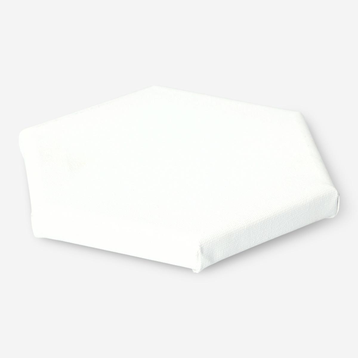 White hexagon canvases