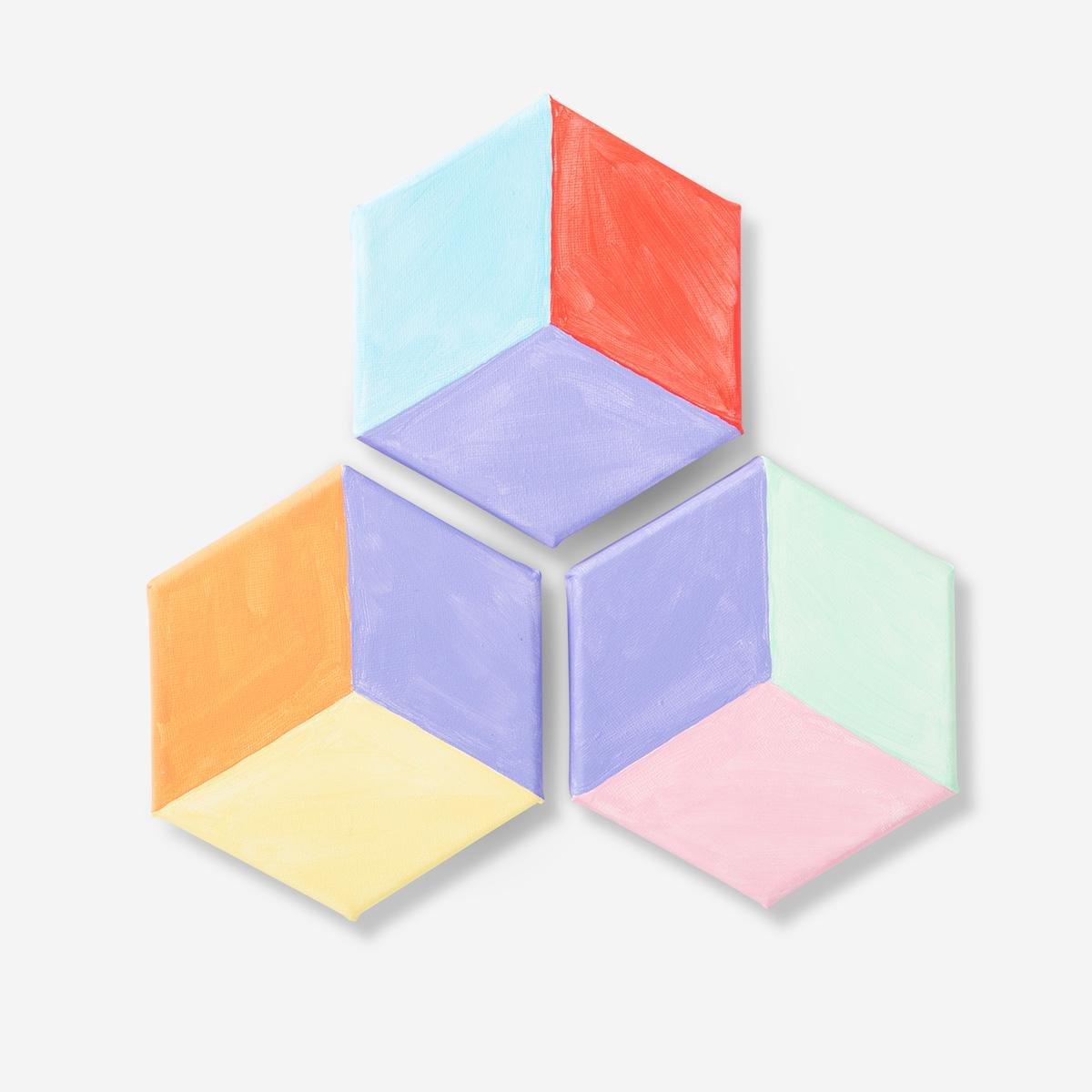 White hexagon canvases