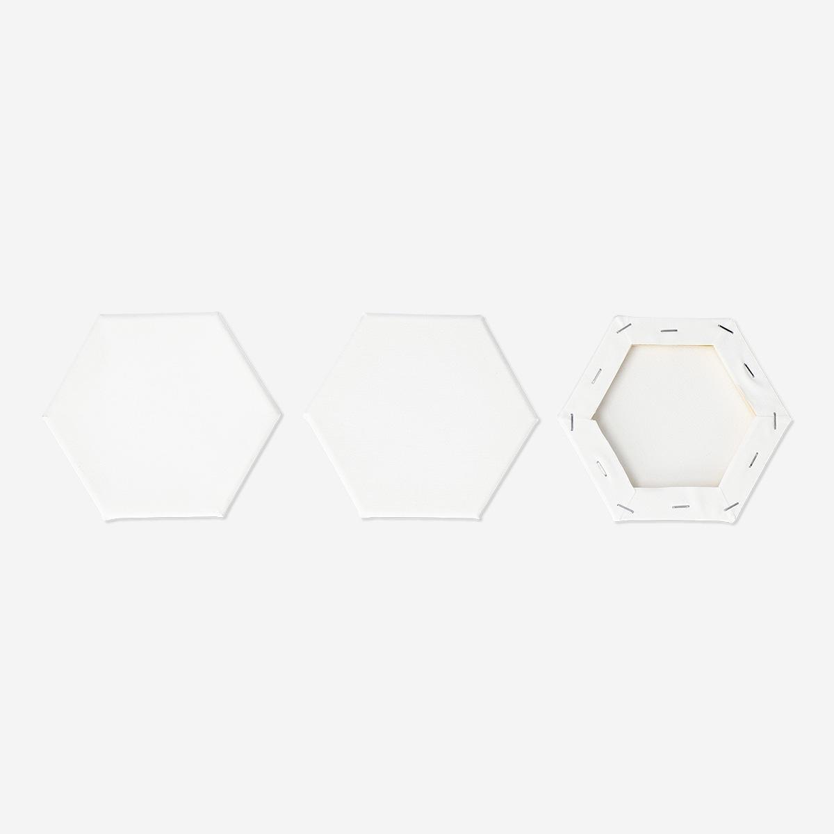 White hexagon canvases
