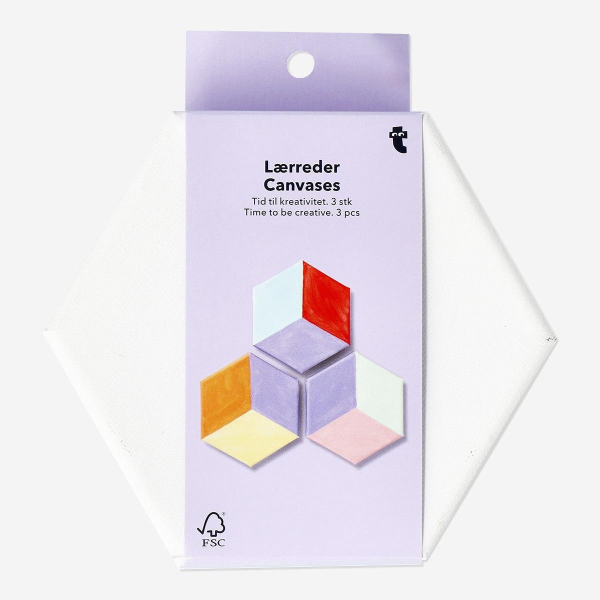 White hexagon canvases