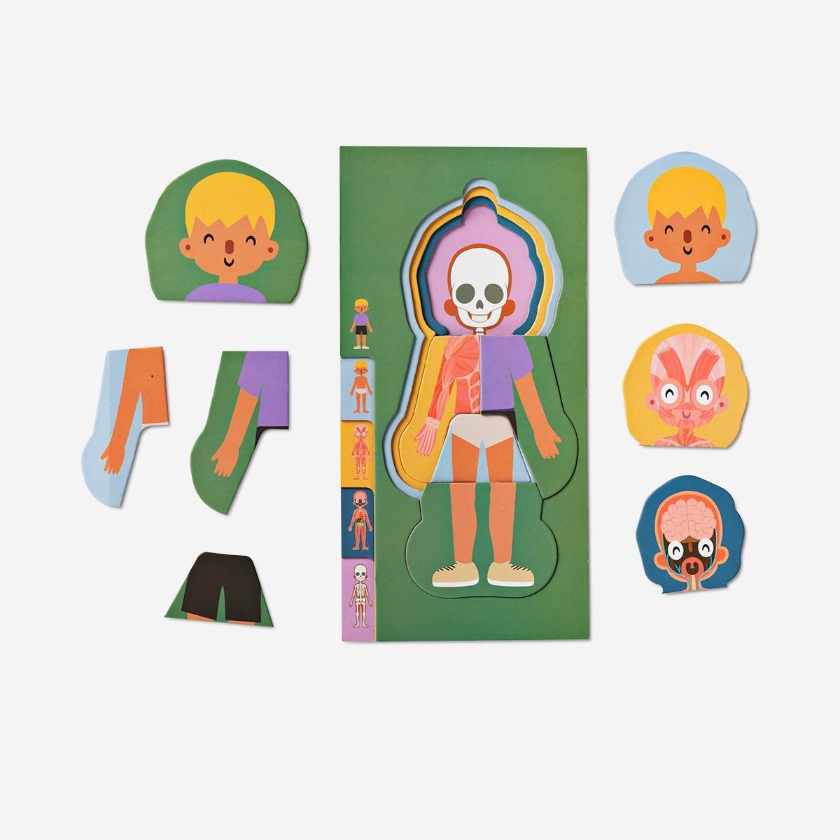 Multicolour Anatomy Puzzle