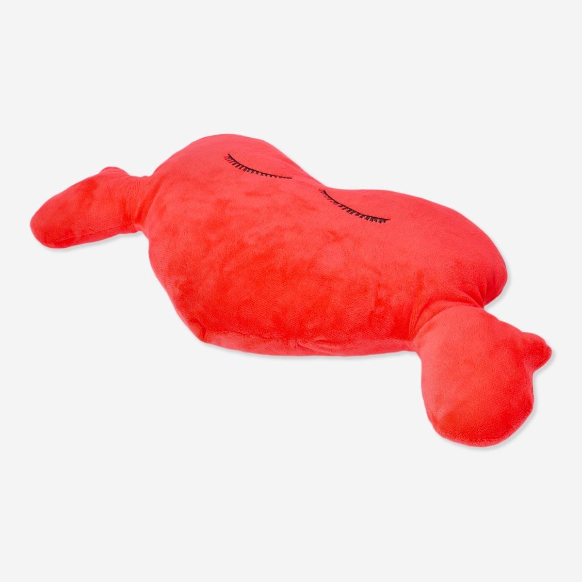 Red Heart Cuddly Cushion