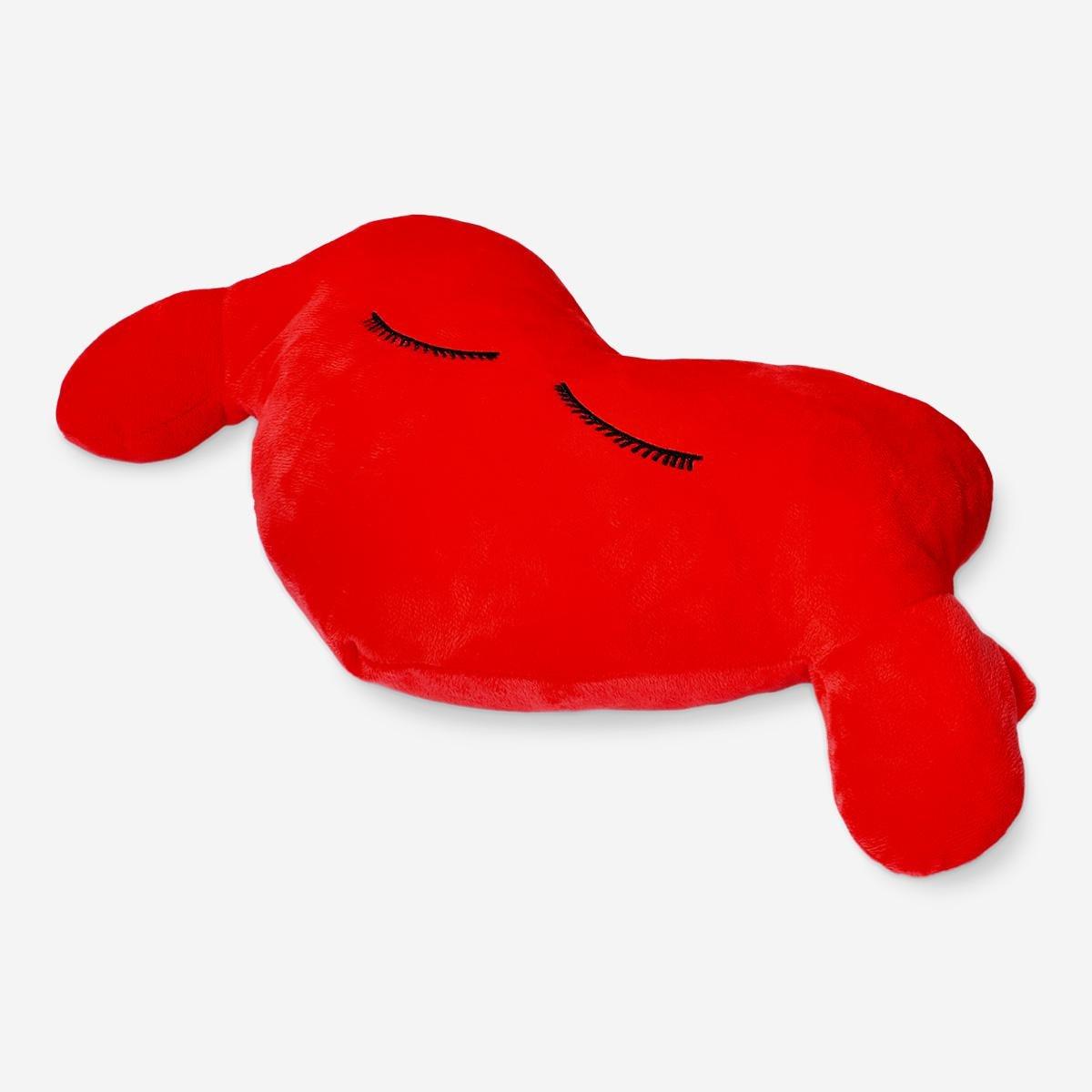 Red Heart Cuddly Cushion