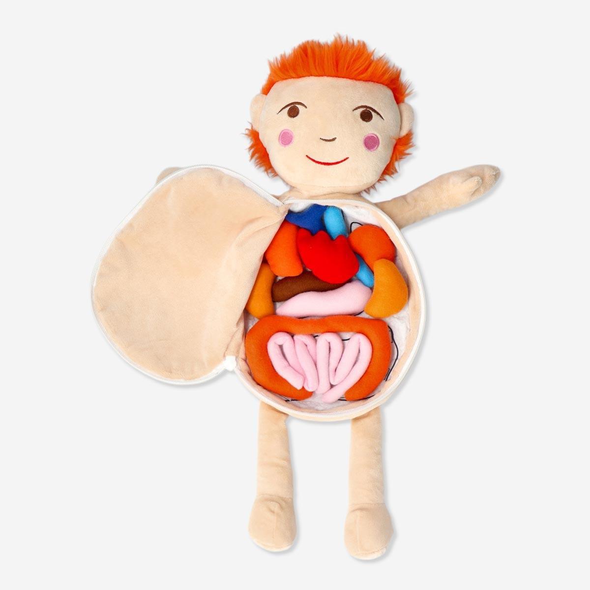 Blue anatomy doll