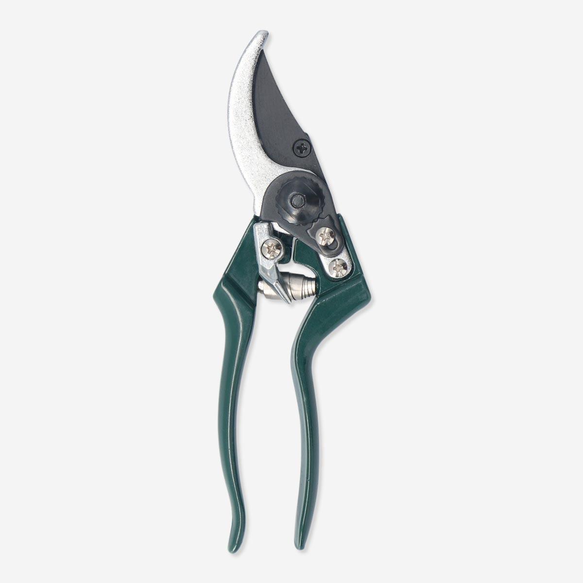 Green garden scissors