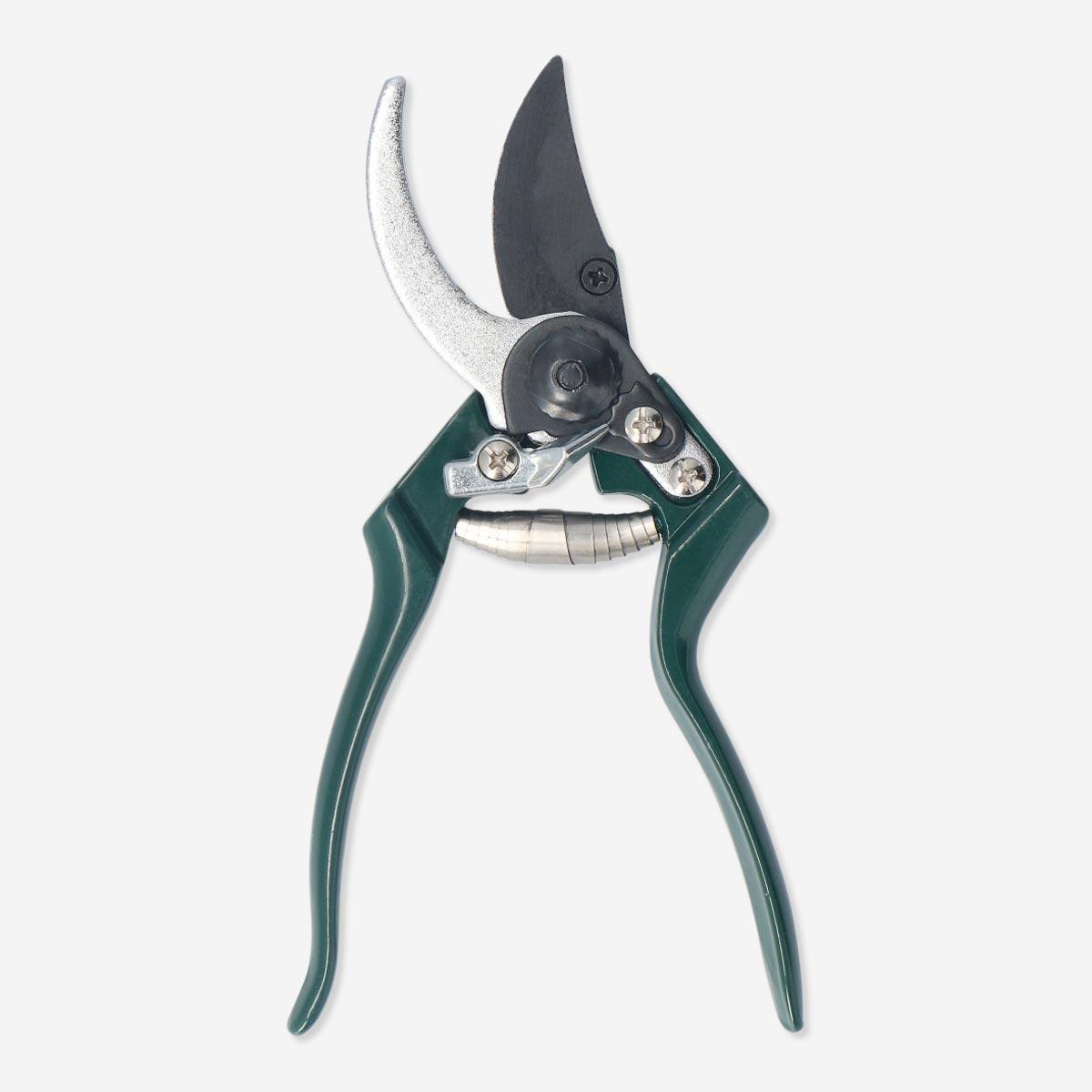 Green garden scissors