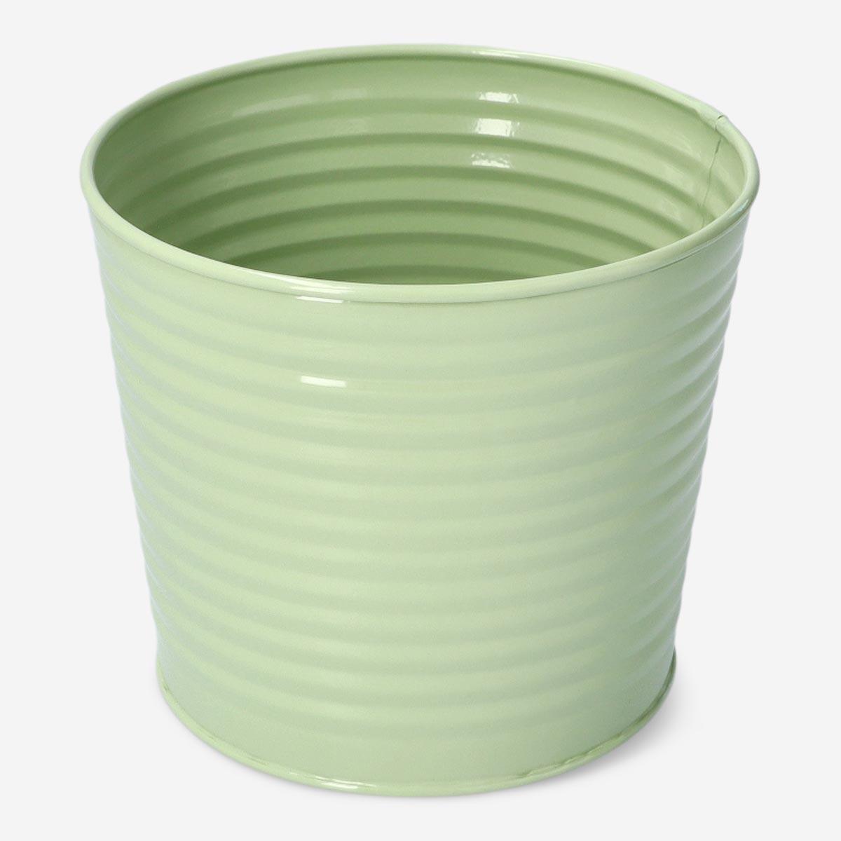 Green plant pot. large